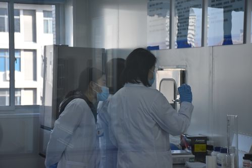 聚焦技術(shù)前沿 保障舌尖安全——河南省畜產(chǎn)品質(zhì)量安全技術(shù)研究院創(chuàng)新發(fā)展研討會在河南牧業(yè)經(jīng)濟學(xué)院召開